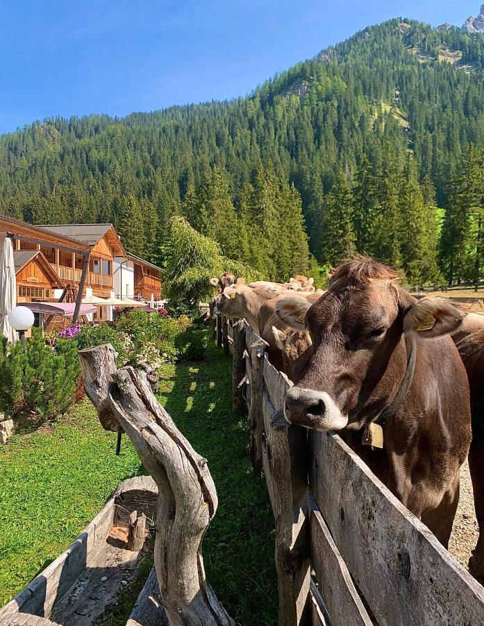 Alpin Natur Hotel Brueckele Braies  Ngoại thất bức ảnh