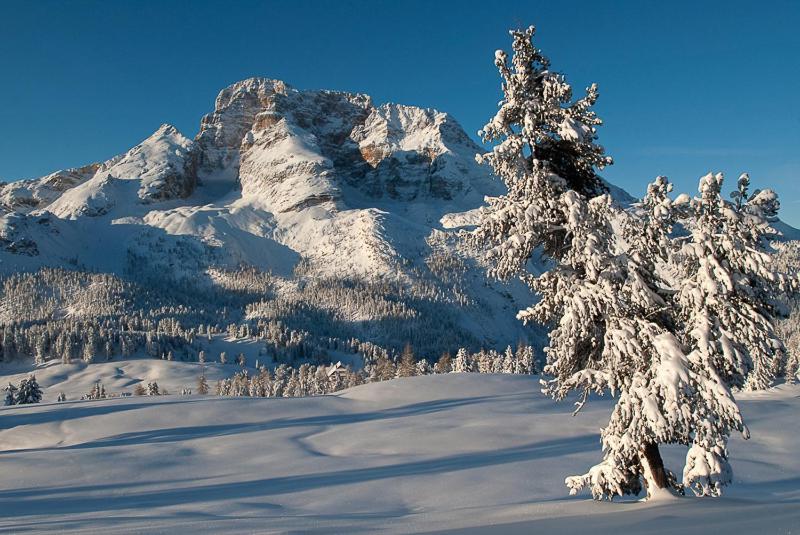 Alpin Natur Hotel Brueckele Braies  Ngoại thất bức ảnh